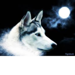 Wolves Of The Rift