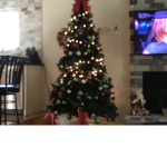 I L.o.v.e The Holidays!!!!!!!!!!