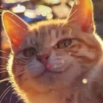 #Smug Cat Squad