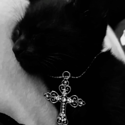 ☠