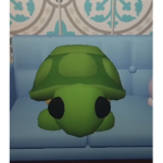 Me and turtle