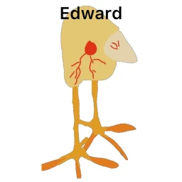 Edward : Legacy Edition icon