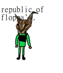 Republic of floppa's