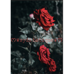 .~+syds boutique+~.