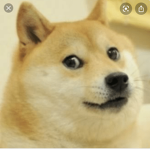 Gaming Doge Group
