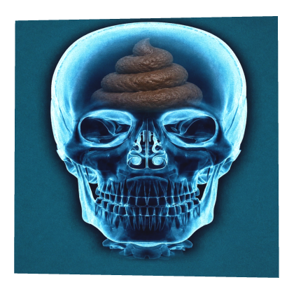 Poop In Skull X-Ray Roblox item