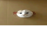 I give u a cookie