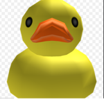 -DUCKS UNITED-