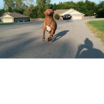 SAMJAYBROWN