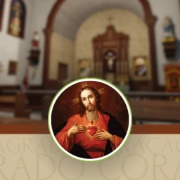 Sacred Heart of Jesus Particular Chapel  icon