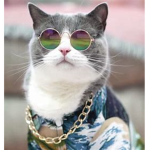 Cool guy club :(