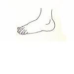 Toe Suck Inc