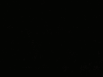 Justacutefungroup