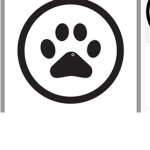 Paw Studios!