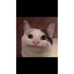 Oloof