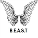 Balistic Enemy Assault Spy Team