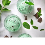 Minty Squad シ