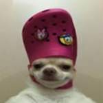 CL0VERR