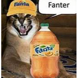 Floppa home