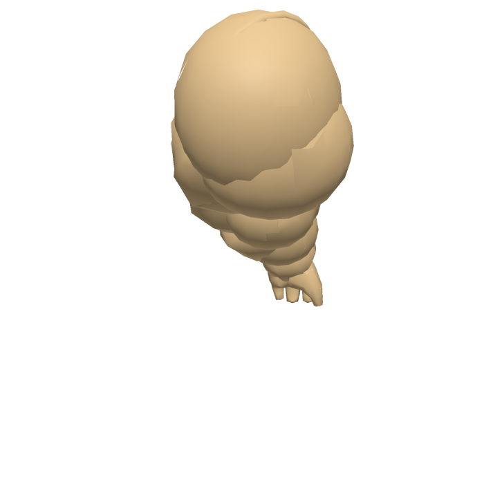 Buff R6 Right Arm 
