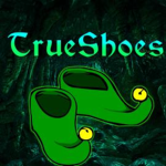Help True Shoes