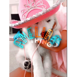 searchclothing