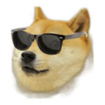 Doge Masters.