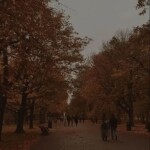 ⋆｡°✩🍂✩°｡⋆