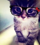 Lay’s avatar ratingꨄ