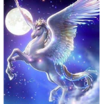 unicorn gymnastics
