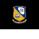 United States Navy MP's & Blue Angel Fighter Wing)