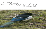 roleplay strakonice community