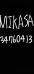 MIKASA ORIGINAL GROUP