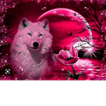 Pink alpha wolf