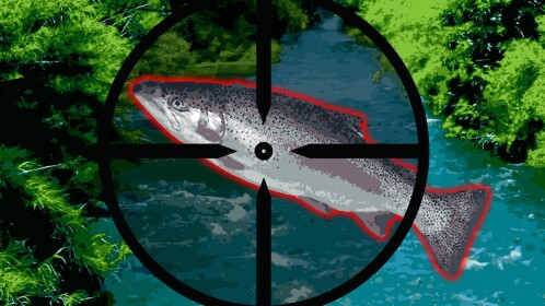 Slime Out Fish