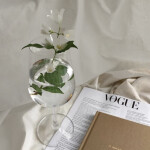  ✧･ﾟ: *✧･ﾟ:*