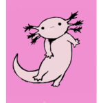 Axolotl rules and zodiac signs<3