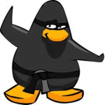 Ninja team forever