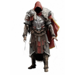 assasin raiders