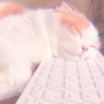 ｌｅａｆｐｏｏｌ