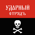 1st Infantry Division of the Volunteer Army