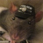 The Rat Law