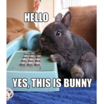 The Roblox Bunnies :D