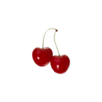 Cherry Hazel