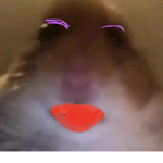 ella1219426117