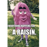 The Raisin Brains