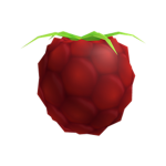 berries of robloxia