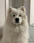 LumberStudio