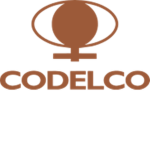 [CL] CODELCO