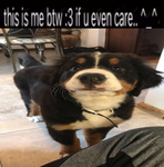 Suprs